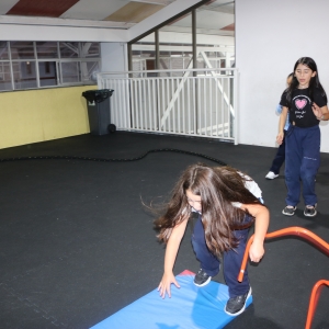 Día de la Actividad Física